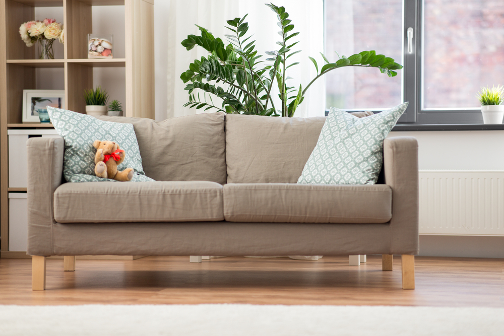 Tidy living room with sofa and bright window